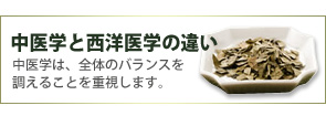 中医学と西洋医学の違い
