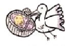 コウノトリ