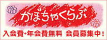 かぼちゃくらぶ　入会費・年会費無料、会員募集中！