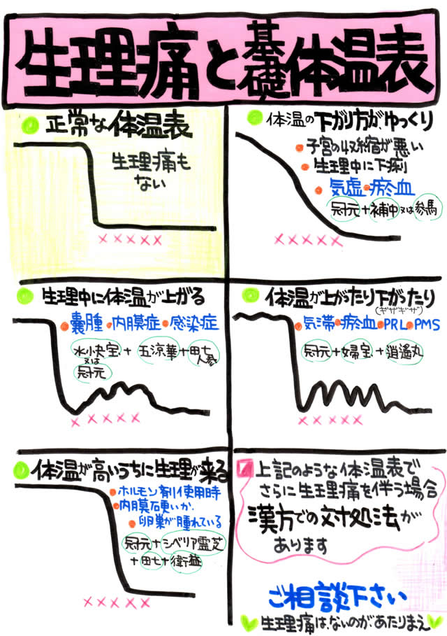 生理と基礎体温