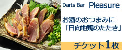 Darts Bar Pleasure